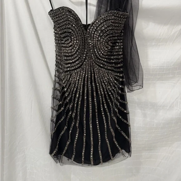 Pronovias Black Strapless Dress with Silver - Atos style 48- Beading size 4 - Picture 2 of 15